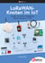 LoRaWAN-Knoten im IoT - Fertige und selbst aufgebaute Arduino-Knoten im TTN