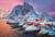 Puzzle 500 pièces - High Quality Collection - Hamnoy Village