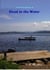 Dead in the Water - Clint Faraday Mysteries, #48