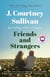 Friends and Strangers: A Read with Jenna Pick - A novel