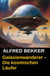 Galaxienwanderer – Die kosmischen Läufer - Galaxienwanderer, #8