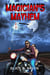 Magician's Mayhem