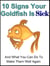 10 Signs Your Goldfish Is Sick
