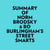 Summary of Norm Brodsky & Bo Burlingham's Street Smarts