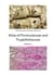 Atlas of Pyrenulaceae and Trypetheliaceae - Volume 1 - Lichenized Ascomycota
