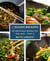 25 delicious wok recipes - 25 delicious dishes for the wok