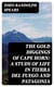 The Gold Diggings of Cape Horn: A Study of Life in Tierra del Fuego and Patagonia