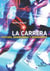 LA CARRERA. POSTURA, BIOMECÁNICA Y RENDIMIENTO ( Bicolor )
