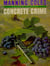 Concrete Crime