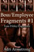 Boss/Employee Fragments #1 - Filthy Fragments, #9