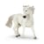 Camargue  - PAPO - 51543