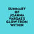Summary of Joanna Vargas's Glow From Within