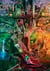 1500P THE DREAMING TREE