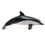 Figurine Dauphin commun - Papo