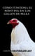 Cómo Funciona el Pointing en Los Gallos de Pelea