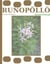 Runopöllö - lastenriimejä