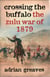 Crossing the Buffalo - The Zulu War of 1879