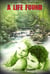 A Life Found (A Life Singular, Book 2) - A Life Singular, #2