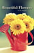 Beautiful Flowers - Picture Books With No Text for Seniors, #2