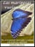 Las mariposas vuelan libres: Un acercamiento innovador y radical a la evolución espiritual - Butterflies, #2
