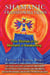 Shamanic Transformations - True Stories of the Moment of Awakening