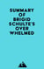 Summary of Brigid Schulte's Overwhelmed