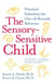 The Sensory-Sensitive Child - Practical Solutions for Out-of-Bounds Behavior