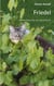 Friedel - Wie ein Kater kam, sah und schnurrte