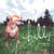 Bully - It's the Pits