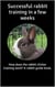 Successful rabbit training in a few weeks - How does the rabbit clicker training work? A rabbit guide book.