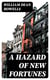 A Hazard of New Fortunes
