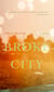 Broke City