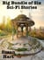 Big Bundle of Six Sci-Fi Stories