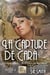 La capture de Cara - Les Seigneurs Dragons de Valdier, #2