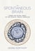 The Spontaneous Brain - From the Mind-Body to the World-Brain Problem