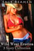 Wild West Erotica - 3 Story Collection