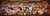 Puzzle 1000 pièces - High quality Collection Panorama - Disney Orchestra