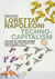 Technocapitalism - The Rise of the New Robber Barons and the Fight for the Common Good