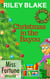 Christmas in the Bayou - Miss Fortune World: Louisiana Cozy Christmas, #1