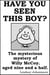Have You Seen This Boy? - The Mysterious Mystery Of Willy McCoy, Aged Nine And A Half. - Kid Stuff, #6