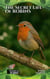 The Secret Life of Robins - The Secret Life of, #3