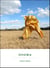 Dogma - A Novel