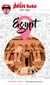 EGYPT (EN ANGLAIS) 2023/2024 Petit Futé
