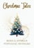 Christmas Tales: Bilingual Stories in Portuguese and English
