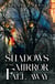 Shadows in the Mirror Fall Away