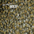 How they live... Bees - Learn All There Is to Know About These Animals!