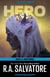Hero - The Legend of Drizzt