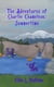 The Adventures of Charlie Chameleon: Summertime