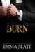 Burn - SINS Series, #6