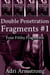 Double Penetration Fragments #1 - Filthy Fragments, #12